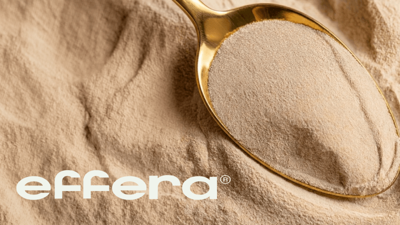 Searchable, description alt text for the image